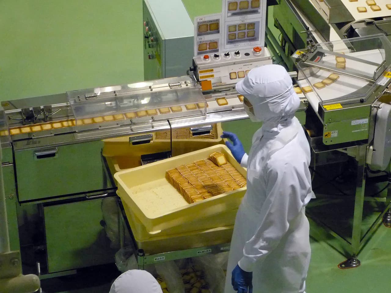 Bir gıda fabrikasında bisküvi üretim bandının başında, beyaz koruyucu kıyafetli bir çalışan ve tepside dizili bisküviler